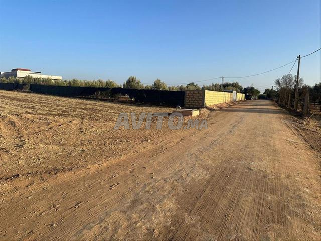 أرض مسجلة بمساحة 2800 متر مربع للبيع - 2