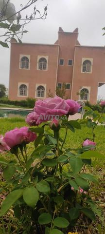Ferme de 2 Hectares à Vendre Marrakech