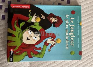 Livre “Le jongleur le plus maladroit”