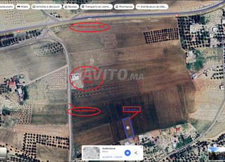 terrain à ouaraguine triq Oujda 30000dh