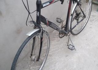 بدريون طنجة