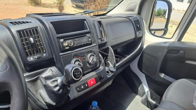 Fiat Ducato Diesel Manuelle 2021 à Larache