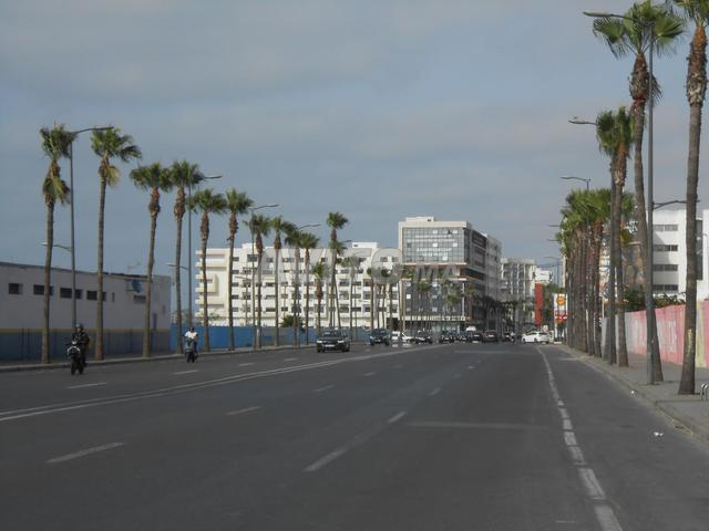 A vendre Terrain R plus 12 zone A secteur A12s 