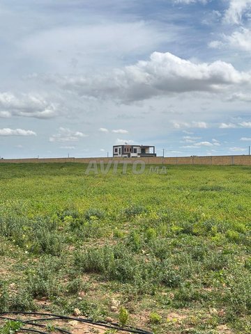 Terrain à la vente à Sidi Rahal Chatai 10000 m²