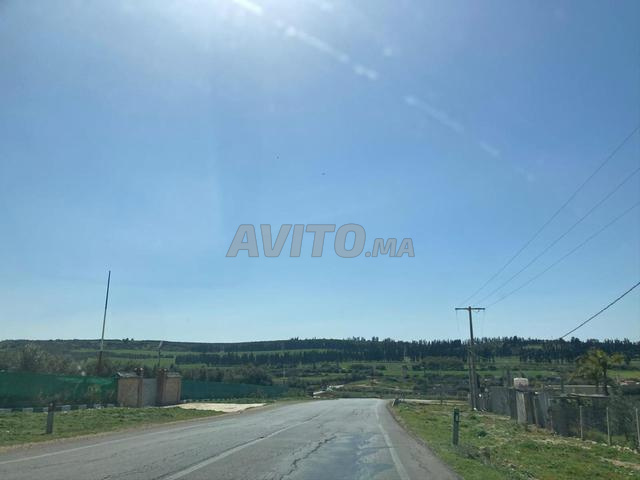 Terrain Commercial 3 Façades - Ain Taoujtat - 2