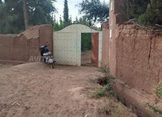 هكتار تيتر للبيع 