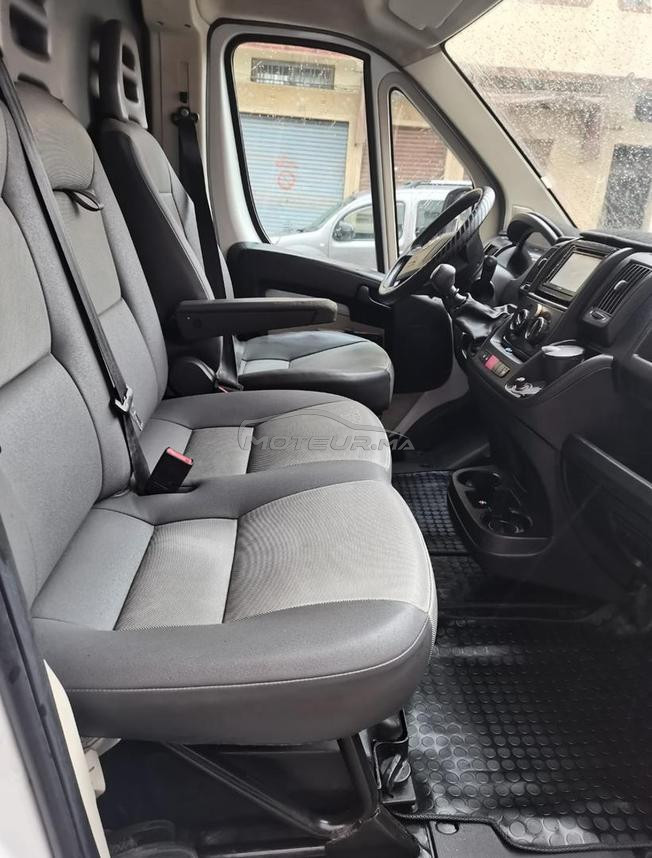 Fiat Ducato Diesel Manuelle 2017 à Casablanca