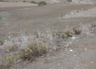 Terrain à vendre près de Dar Chaou 5000tr sur la route