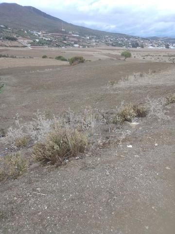 أرض للبيع قرب دار الشاو 5000تر على الطريق