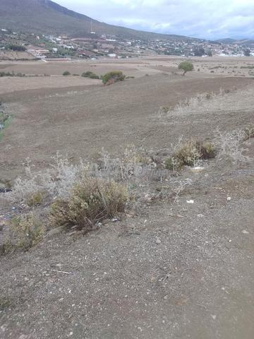 Terrain à vendre près de Dar Chaou 5000tr sur la route - 2