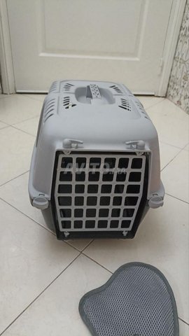 Pack equipment chat/chaton et petit chien/chiot