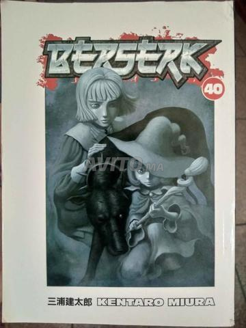 Manga berserk volume 40/41