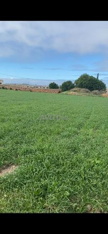 Terrain à vendre à تنين الغربية oualidia