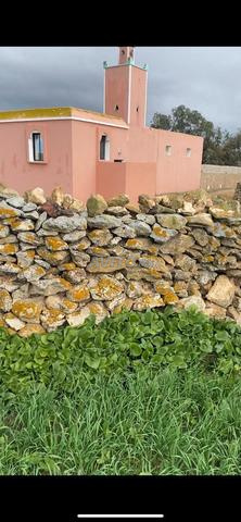 Terrain à vendre à تنين الغربية oualidia - 2