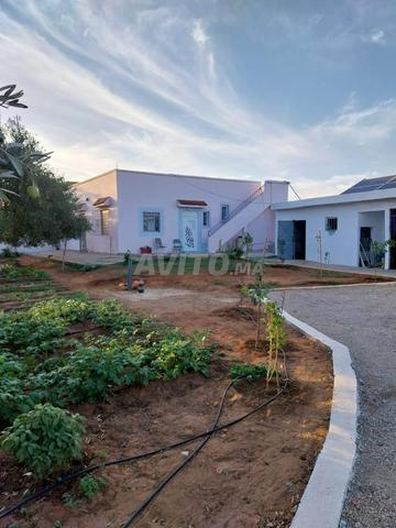 Ferme a vendre  situé  3km de  ķhemisset - 2