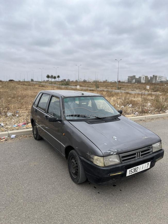fiat uno 