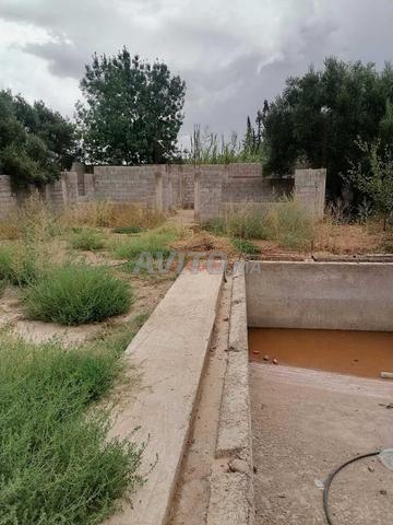 Vente Terrain nu de 645 m2 à Marrakech