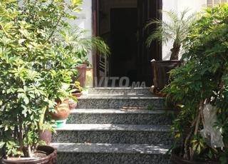 DERIERE  SORIAN  MOSQUEE SORIAN