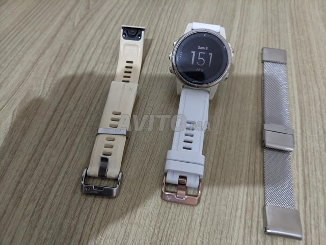 garmin fenix 5s plus