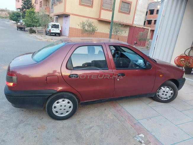 palio