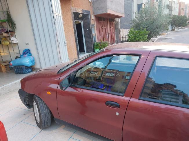 palio