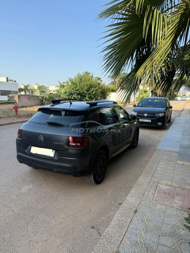 Citroen C4 cactuc  