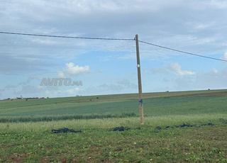 ارض للبيع 5 الخدامة  قريبة لجديدة ب 20 كلمتر  