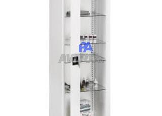 Armoire médicale professionnelle