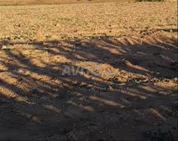 نواحي بن جرير ارض فلاحية مجهزة BENGUERIR - 2