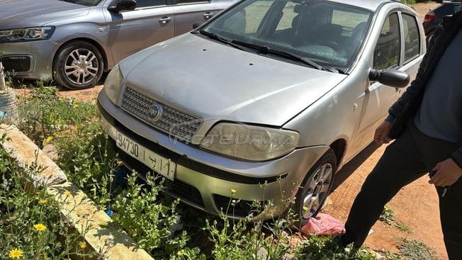 	 Fiat punto 
