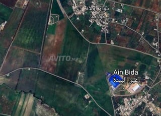 Terrain de 2 Hectares à vendre à un prix bas