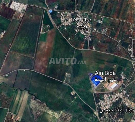 Terrain de 2 Hectares à vendre à un prix bas