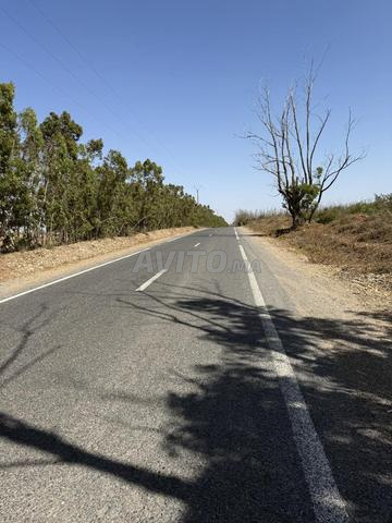 هكتار و نصف محفظ للبيع هوتة في الموقع و الثمن