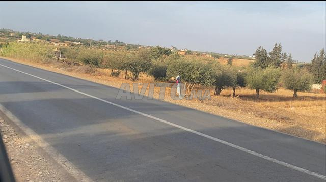 هكتار وثلاثة خدامة 200متر من طريق وطنية