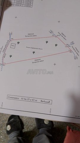 دوار الضلام سيدي يوسف بن علي