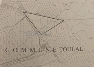 terrain 10 000 mètres carrés 