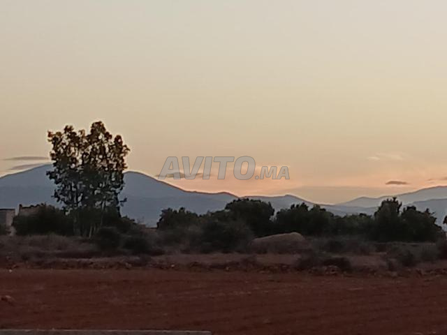 Terrain propriété (Milkiya) juridique de 7205 m2