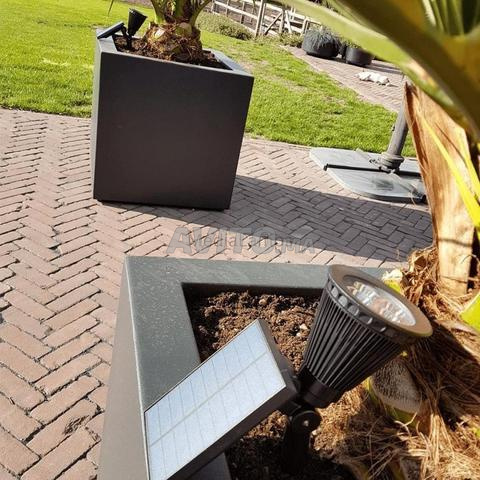 électricité élevées pour éclairer votre jardin