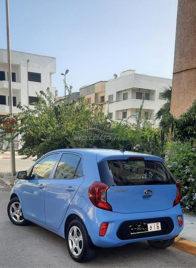 kia picanto 