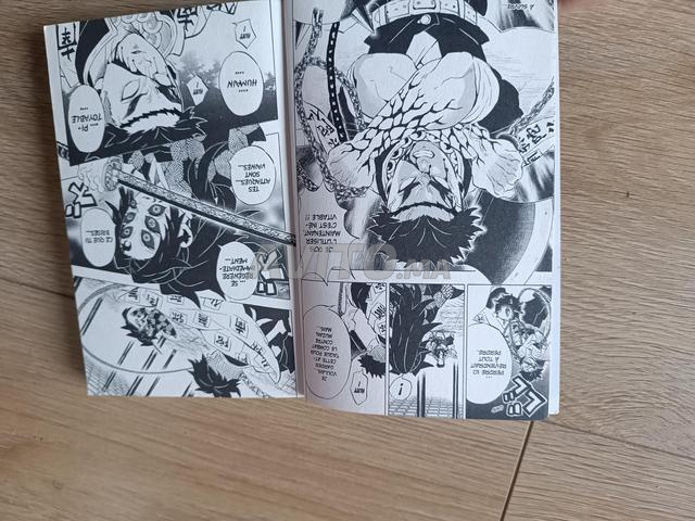 demon slayer manga tome 19 - 2