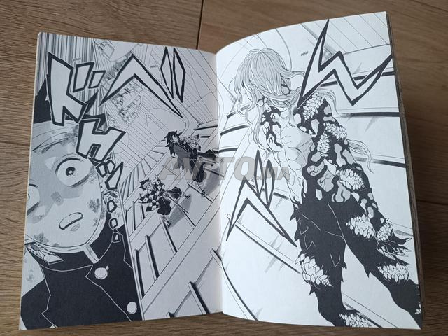 demon slayer manga tome 21 - 2