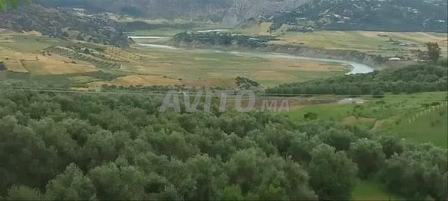 menage marocaine pof et cuisine