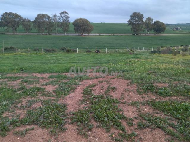 Belle Fermette à Ribaa - 30 min de Rabat - 2