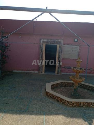 Ferme titre 1000m2 om sallat kamouni