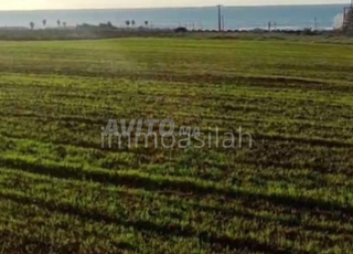 Terrain 26244 m2 vue mer pour investissement