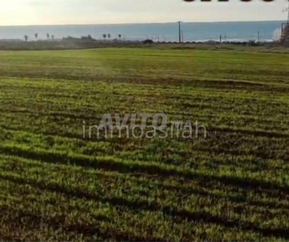 Terrain 26244 m2 vue mer pour investissement - 2
