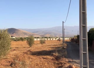 Excellent terrain agricoles à vendre 