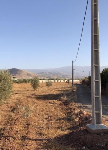 Excellent terrain agricoles à vendre 