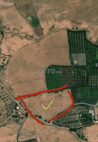 أرض زراعية ممتازة للبيع - 2