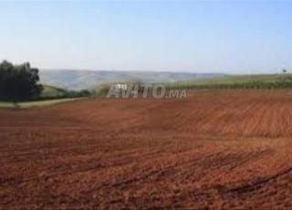 رائعة بيع مزرعة فلاحية خصبة فرصة استثمارية 